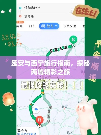 貌美如花