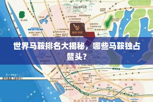世界马鞍排名大揭秘，哪些马鞍独占鳌头？