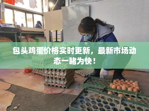 包头鸡蛋价格实时更新，最新市场动态一睹为快！