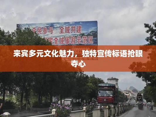 来宾多元文化魅力，独特宣传标语抢眼夺心