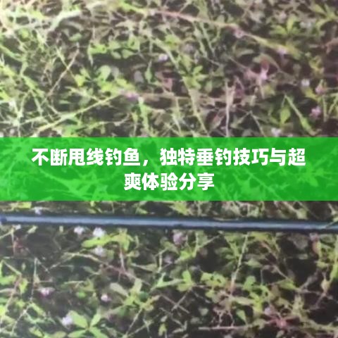 不断甩线钓鱼，独特垂钓技巧与超爽体验分享
