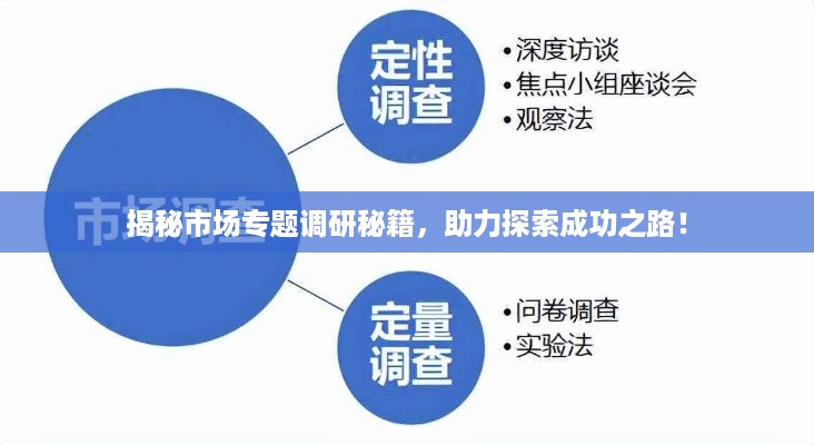 揭秘市场专题调研秘籍，助力探索成功之路！