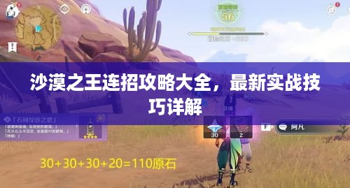 沙漠之王连招攻略大全，最新实战技巧详解