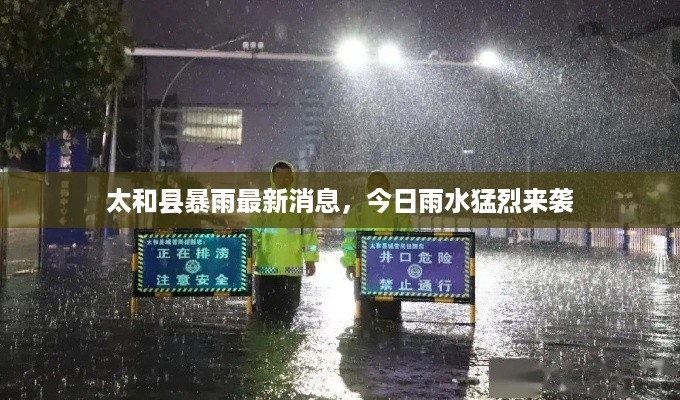 太和县暴雨最新消息，今日雨水猛烈来袭