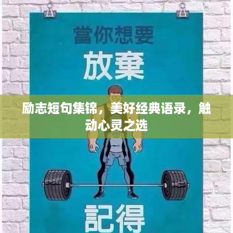 励志短句集锦，美好经典语录，触动心灵之选