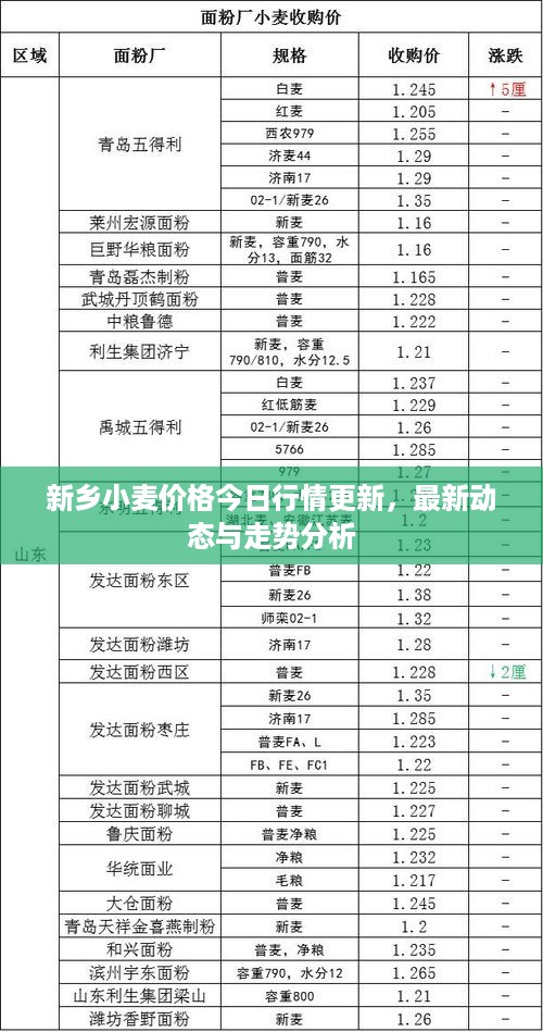 新乡小麦价格今日行情更新，最新动态与走势分析
