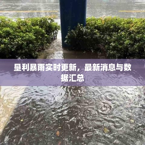 垦利暴雨实时更新，最新消息与数据汇总