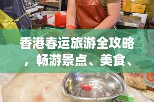 香港春运旅游全攻略，畅游景点、美食、住宿一网打尽！
