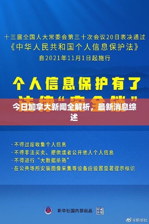 今日加拿大新闻全解析，最新消息综述