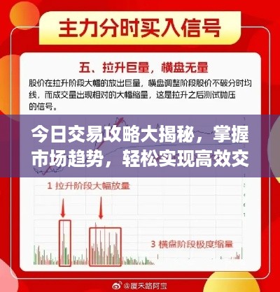 今日交易攻略大揭秘，掌握市场趋势，轻松实现高效交易！
