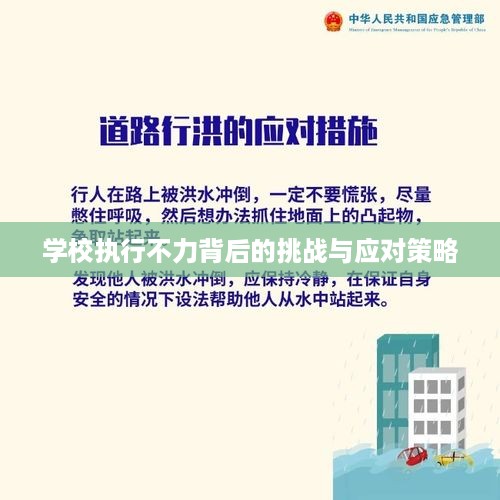 学校执行不力背后的挑战与应对策略