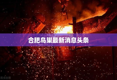 合肥鸟巢最新消息头条