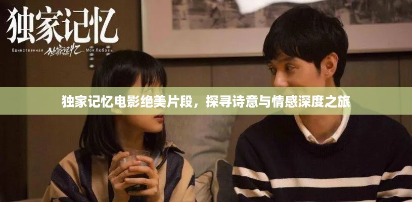 独家记忆电影绝美片段，探寻诗意与情感深度之旅