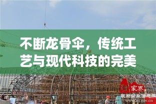 不断龙骨伞，传统工艺与现代科技的完美融合