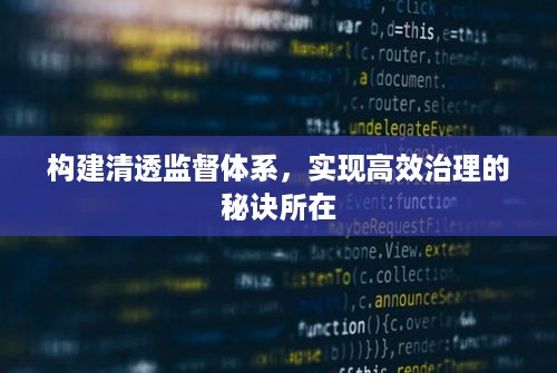 构建清透监督体系，实现高效治理的秘诀所在