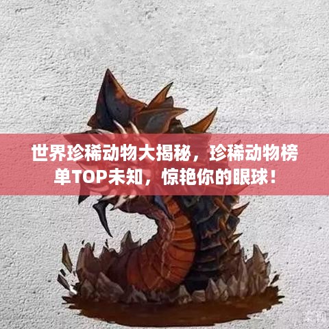 世界珍稀动物大揭秘，珍稀动物榜单TOP未知，惊艳你的眼球！