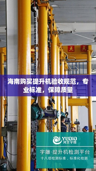 海南购买提升机验收规范，专业标准，保障质量