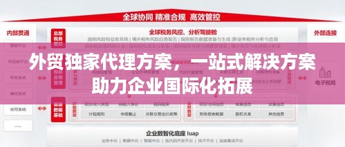 外贸独家代理方案，一站式解决方案助力企业国际化拓展