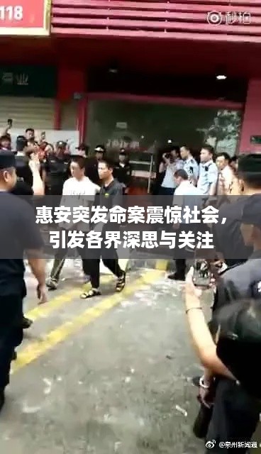 惠安突发命案震惊社会，引发各界深思与关注