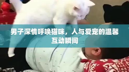 男子深情呼唤猫咪，人与爱宠的温馨互动瞬间