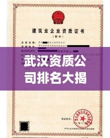 武汉资质公司排名大揭秘，权威榜单揭晓，行业巨头一网打尽！