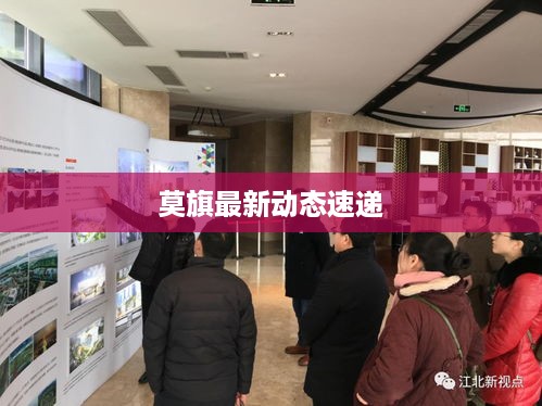成功案例 第5页