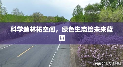 科学造林拓空间，绿色生态绘未来蓝图