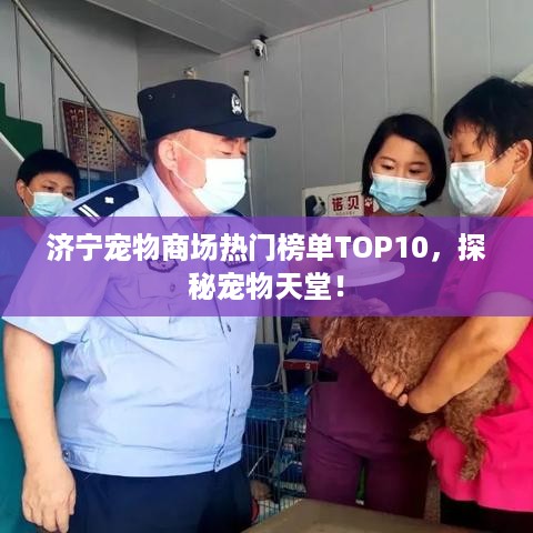 济宁宠物商场热门榜单TOP10，探秘宠物天堂！