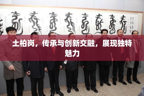 土柏岗，传承与创新交融，展现独特魅力