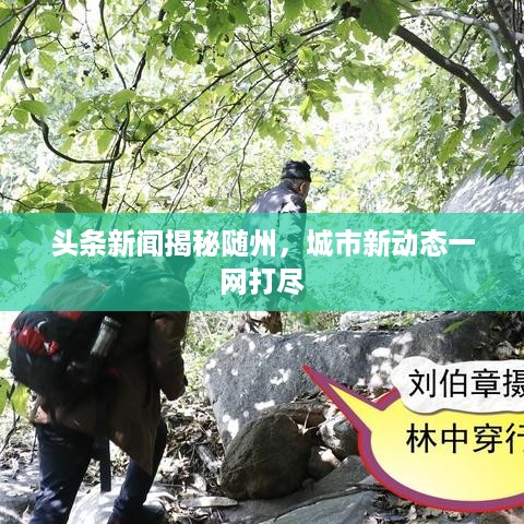 头条新闻揭秘随州，城市新动态一网打尽