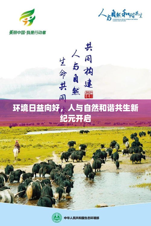 环境日益向好，人与自然和谐共生新纪元开启