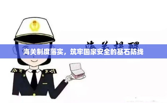 海关制度落实，筑牢国家安全的基石防线