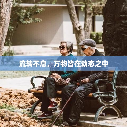 流转不息，万物皆在动态之中