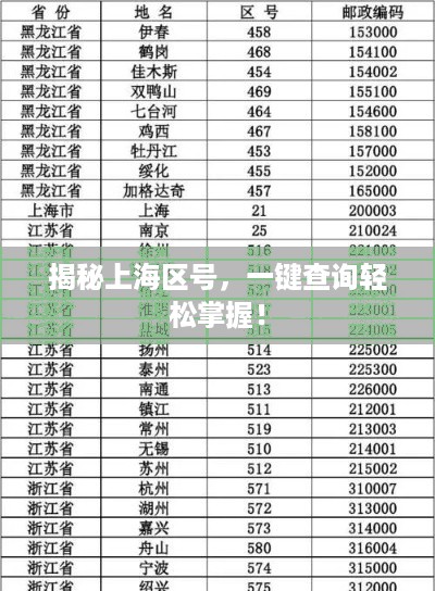 揭秘上海区号，一键查询轻松掌握！
