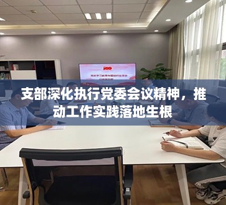 支部深化执行党委会议精神，推动工作实践落地生根