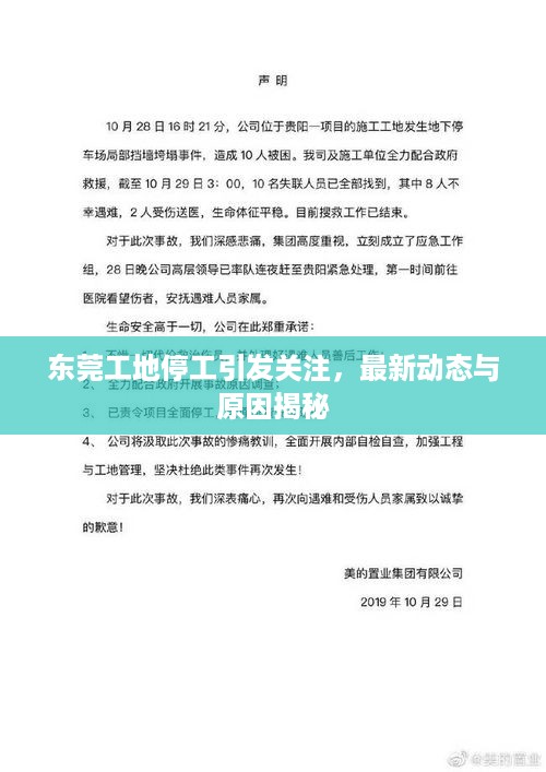 东莞工地停工引发关注，最新动态与原因揭秘