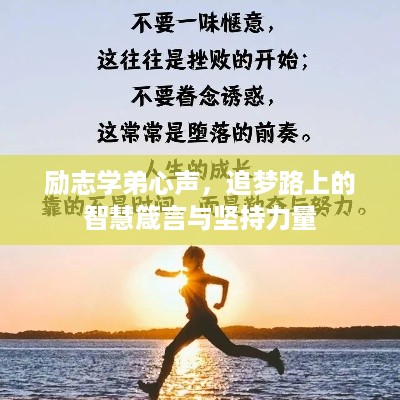 励志学弟心声，追梦路上的智慧箴言与坚持力量