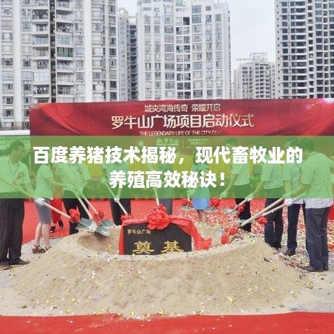 百度养猪技术揭秘，现代畜牧业的养殖高效秘诀！