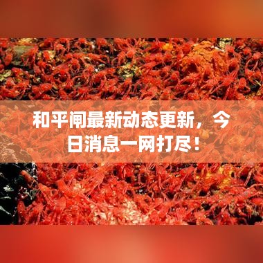 和平闸最新动态更新，今日消息一网打尽！