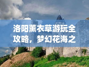 洛阳薰衣草游玩全攻略，梦幻花海之旅