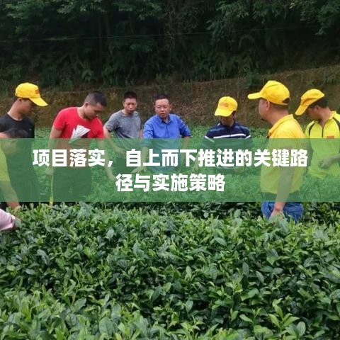 项目落实，自上而下推进的关键路径与实施策略