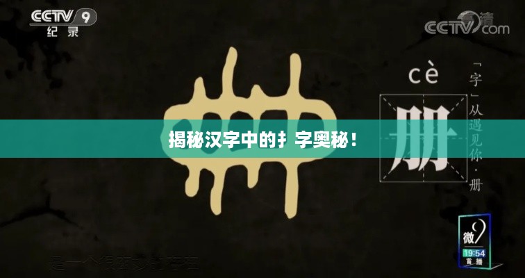 揭秘汉字中的扌字奥秘！