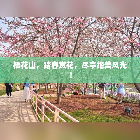樱花山，踏春赏花，尽享绝美风光！