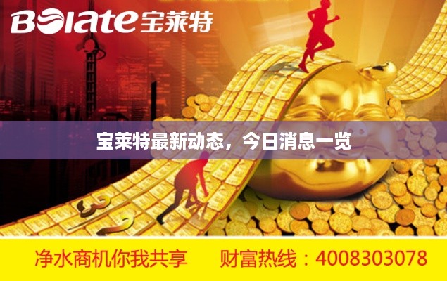 宝莱特最新动态，今日消息一览