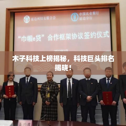 木子科技上榜揭秘，科技巨头排名揭晓！