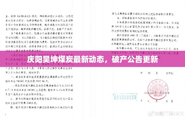 庆阳昊坤煤炭最新动态，破产公告更新