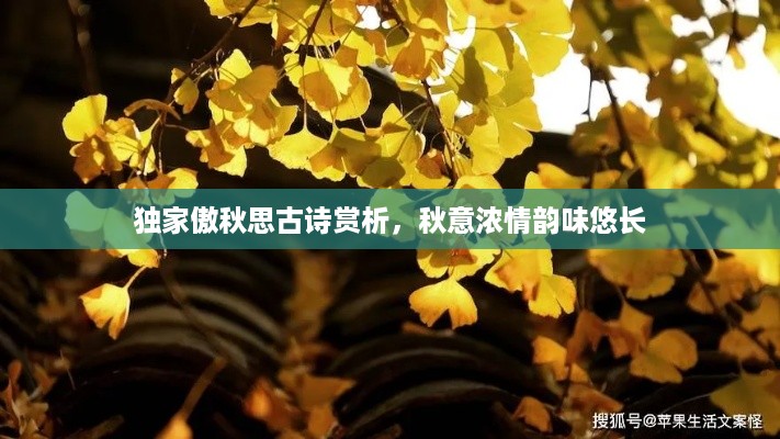 独家傲秋思古诗赏析，秋意浓情韵味悠长