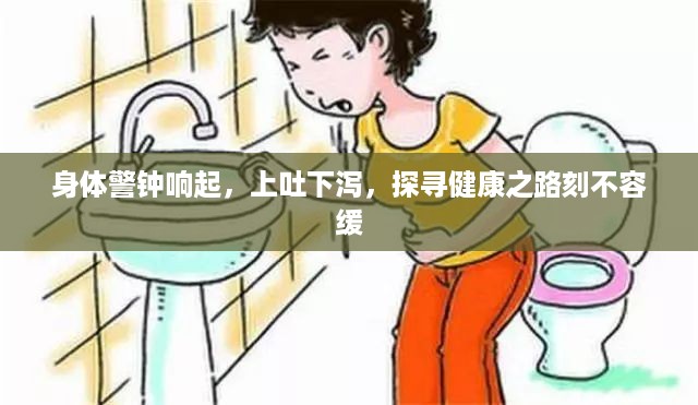 身体警钟响起，上吐下泻，探寻健康之路刻不容缓