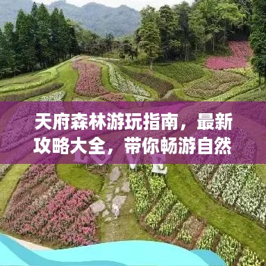 天府森林游玩指南，最新攻略大全，带你畅游自然秘境！