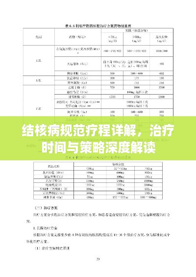 结核病规范疗程详解，治疗时间与策略深度解读